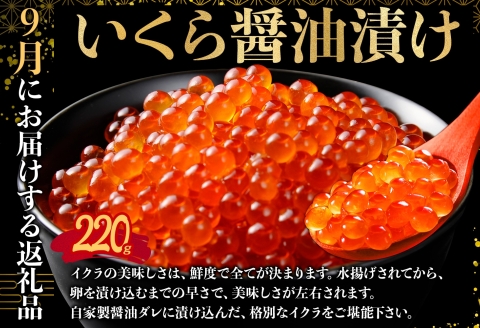 定期便 カニ 3287. 北海道なまらうめぇ 頒布会 ズワイ 紅ズワイ いくら 醤油漬け ホタテ サーモン キムチ 塩辛 海鮮味噌鍋 蟹 かに カニ 海鮮 鍋 100000円 北海道 弟子屈町