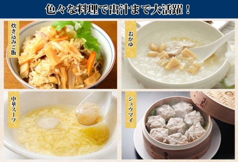 【年内配送 12月20日まで受付】3344.ほたて 干し貝柱 ホタテ貝柱 帆立 貝柱 100g×10 計1kg 小分け ホタテ ほたて貝柱 海鮮 おつまみ 酒の肴 出汁 送料無料 北海道 弟子屈町