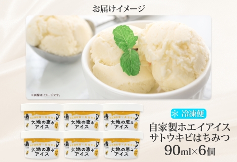 3451. 牧之瀬牧場 自家製ホエイアイス  蜂蜜サトウキビ 6個 アイス 氷菓子 ひんやり アイスクリーム ホエイ 自家製アイス 自家製 さとうきび きび糖 キビ糖 はちみつ 蜂蜜 濃厚 冷凍 スイーツ デザート お取り寄せ 送料無料 北海道 弟子屈町