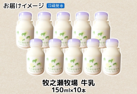 3454. 牧之瀬牧場 牛乳 150ml × 10本 牛乳 牛 乳 みるくミルク ノンホモジナイズド牛乳 脂肪 放牧 濃厚 搾りたて 甘い クリーミー さっぱり 牛耳ボトル 可愛い ギフト 冷蔵 牧之瀬牧場 北海道 弟子屈町