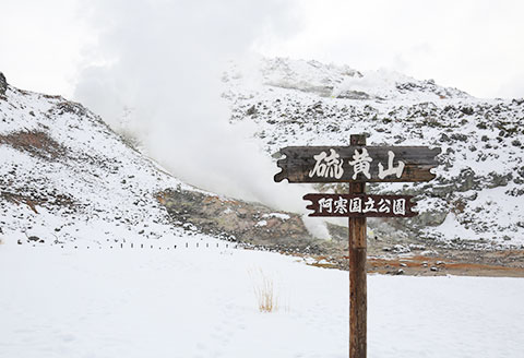 797. 明日を探る北海道農業 書籍 本 冊子 雑誌 書籍 book お取り寄せ 自然 写真 風景 二日市壮　北海道 弟子屈町