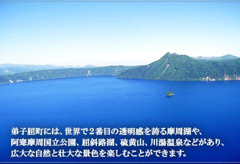 34. 幸せいっぱいの摩周ブルー中皿（1プレート） 食器 工芸品 民芸品 陶芸 川湯温泉 5000円 北海道 弟子屈町