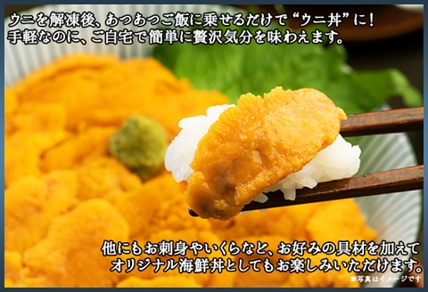 1259.訳あり うに 200g ワケあり ウニ チリ産 冷凍 雲丹 不揃い B級品 うに わけ あり 海鮮 4人前 丼 刺身 自宅用 送料無料 北海道 弟子屈町
