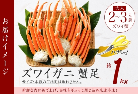 【年内配送 12月21日まで受付】3355. ボイルズワイガニ足 1kg 約2-3人前 食べ方ガイド・専用ハサミ付 カニ かに 蟹 海鮮 送料無料 期間限定 数量限定 北海道 弟子屈町