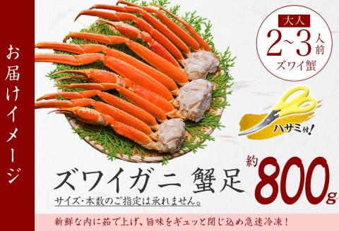 【年内配送 12月21日まで受付】3375.  ボイルズワイガニ足 800g 約2-3人前 食べ方ガイド・専用ハサミ付 カニ かに 蟹 海鮮 送料無料 期間限定 数量限定 北海道 弟子屈町