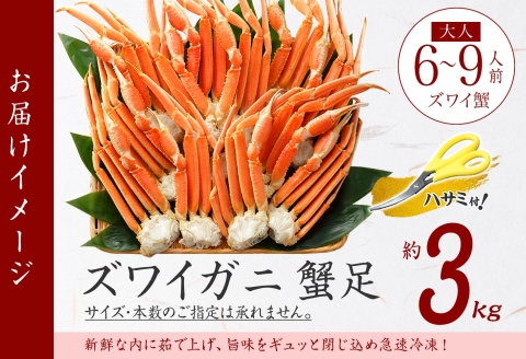 【年内配送 12月21日まで受付】3332. ズワイガニ足 3kg 約6-9人前 専用ハサミ付 カニ かに 蟹 海鮮 送料無料 期間限定 数量限定 北海道 弟子屈町
