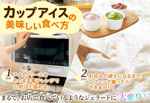 1334.アイスクリーム ジェラート 食べ比べ 8個 アイス 定番 おすすめ B セット 手作り 北海道 弟子屈町