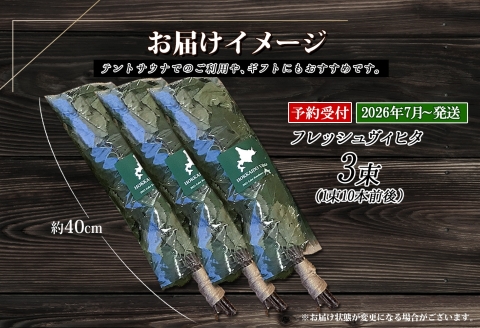 2026年 7月以降順次発送 1511.フレッシュ 白樺 ヴィヒタ 3束 北海道 白樺 ヴィヒタ アロマ ウィスク インテリア サウナグッズ サウナ テントサウナ 北海道 弟子屈町