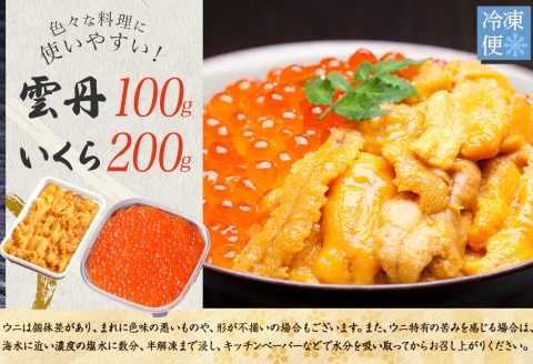 【年内配送 12月14日まで受付】3590.  うに 100g いくら醤油漬け 200g ウニ チリ産 冷凍 いくら 二色丼 雲丹 イクラ 海鮮 海鮮丼 うに丼 いくら丼 いくら醤油漬け 送料無料 北海道 弟子屈町