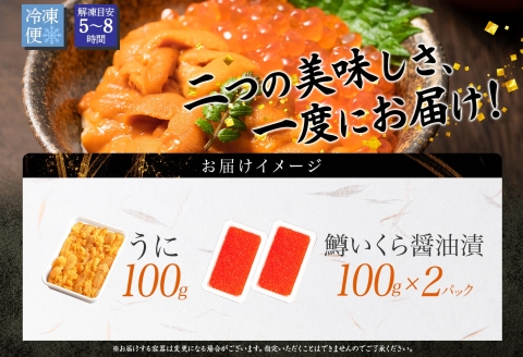 3619. 雲丹 100g 鱒いくら醤油漬け 100g×2個 うに ウニ チリ産 冷凍 いくら イクラ ます 醤油漬け お取り寄せ 魚卵 二色丼 海鮮 寿司 送料無料 北海道 弟子屈町
