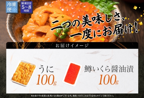 3618. うに 100g 鱒いくら醤油漬け 100g ウニ チリ産 冷凍 雲丹 ますいくら 鱒 マス イクラ いくら いくら醤油漬け 海鮮 丼 送料無料 北海道 弟子屈町