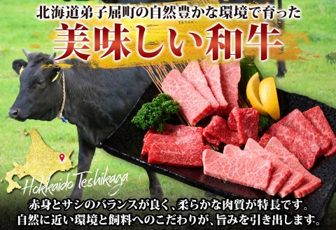 2935. 黒毛和牛 塩 ローストビーフ 300g 2パック 計600g A4-A5等級 北海道産和牛 弟子屈牛 モモ 肉 牛 牛肉 和牛 お肉 送料無料 北海道 弟子屈町