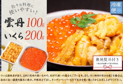 【年内配送 12月14日まで受付】3595. 無地熨斗 うに 100g いくら醤油漬け 200g ウニ チリ産 冷凍 いくら 二色丼 雲丹 イクラ 海鮮 海鮮丼 うに丼 いくら丼 のし 名入れ不可 送料無料 北海道 弟子屈町