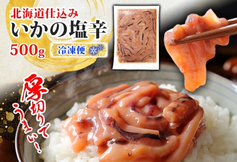 3163. いかの塩辛 500g いか イカ 烏賊 おつまみ 魚介 海鮮 送料無料 北海道 弟子屈町