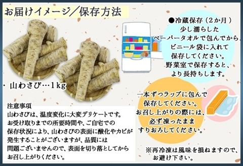 3165. 天然 山わさび 1kg前後 産地直送 薬味 肉 BBQ バーベキュー 焼き肉 送料無料 北海道 弟子屈町