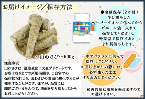 3166. 天然 山わさび 500g前後 産地直送 薬味 肉 BBQ バーベキュー 焼き肉 送料無料 北海道 弟子屈町