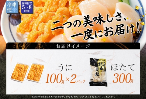 【年内配送 12月10日まで受付】3406. うに ホタテ 豪華 海鮮 セット 4人前 ウニ チリ産 冷凍 200g ほたて 300g 雲丹 帆立 丼 刺身 送料無料 北海道 弟子屈町
