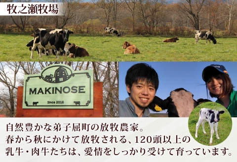 3459.牧之瀬牧場 ポテトポタージュ 160g 20箱 ジャガイモ じゃがいも ポタージュ スープ 本格的 ノンホモ ノンホモジナイズド牛乳 ミルク 簡単調理 まろやか コク すっきり 素材の味 北海道産 国産 ギフト 贈り物 お取り寄せグルメ ご当地 送料無料 北海道 弟子屈町
