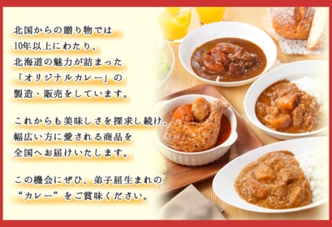 1445. 弟子屈 カレー 2種 食べ比べ 計4個 中辛 バターチキンカレー 牛すじカレー 鶏肉 牛肉 じゃがいも 業務用 レトルトカレー レトルト 北海道 弟子屈町