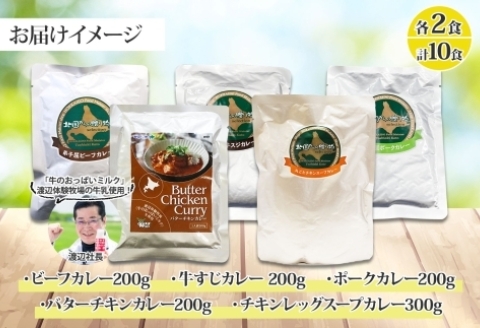 1447. 弟子屈 カレー 5種 食べ比べ 計10個 中辛 バターチキンカレー スープカレー ビーフカレー ポークカレー 牛すじカレー レトルト 北海道 弟子屈町