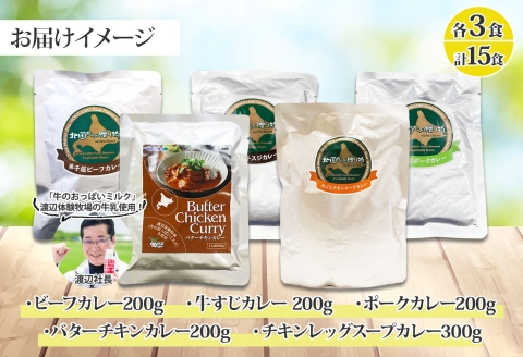 1448. 弟子屈 カレー 5種 食べ比べ 計15個 中辛 バターチキンカレー スープカレー ビーフカレー ポークカレー 牛すじカレー レトルト 北海道 弟子屈町
