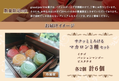 1591. マカロン 6個入り grand-jete' いちご パッションマンゴー ピスタチオ イチゴ 苺 マンゴー スイーツ 洋菓子 お取り寄せ グルメ ギフト 送料無料 北海道 弟子屈町