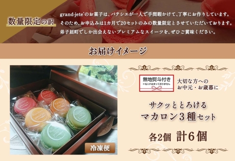 1594. 無地熨斗 マカロン 6個入り grand-jete' いちご パッション マンゴー ピスタチオ イチゴ 苺 スイーツ お取り寄せ ギフト のし 名入れ不可 送料無料 北海道 弟子屈町