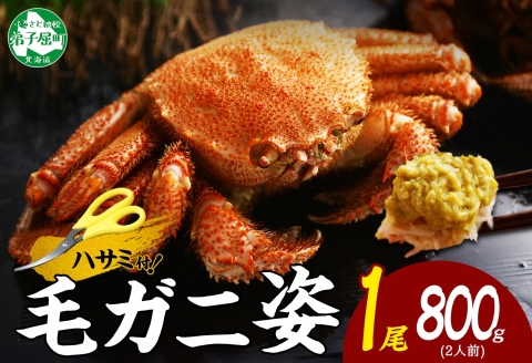 3302. ボイル毛蟹姿 800g 食べ方ガイド・専用ハサミ付 カニ かに 蟹 海鮮 送料無料 北海道 弟子屈町