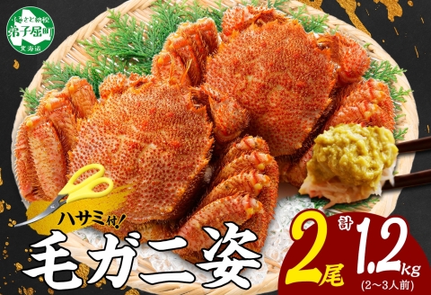 3335. 毛蟹 2尾 計1.2kg前後 食べ方ガイド・専用ハサミ付 カニ かに 蟹 海鮮 ボイル 送料無料 北海道 弟子屈町