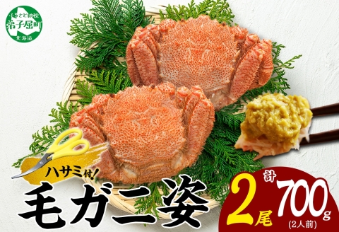 3334. 毛蟹 2尾 計700g前後 食べ方ガイド・専用ハサミ付 カニ かに 蟹 海鮮 ボイル 送料無料 北海道 弟子屈町