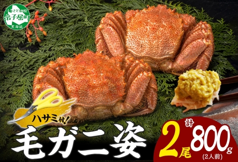 3357. 毛蟹 2尾 計800g前後 食べ方ガイド・専用ハサミ付 カニ かに 蟹 海鮮 ボイル 送料無料 北海道 弟子屈町