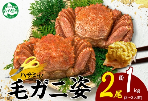 3319. 毛蟹 2尾 計1kg前後 食べ方ガイド・専用ハサミ付 カニ かに 蟹 海鮮 ボイル 送料無料 北海道 弟子屈町