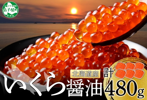 【年内配送 12月20日まで受付】3363. いくら醤油漬け 80g×6個 いくら イクラ 魚卵 魚介 海鮮 送料無料 北海道 弟子屈町