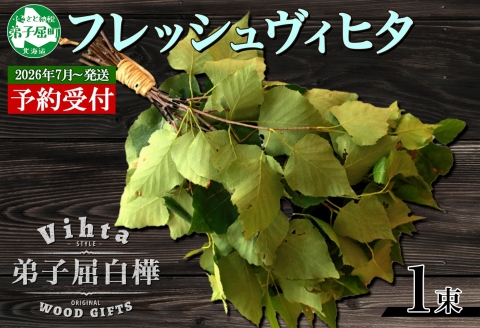 2026年 7月以降順次発送 1510.フレッシュ 白樺 ヴィヒタ 1束 北海道 白樺 ヴィヒタ アロマ ウィスク インテリア サウナグッズ サウナ テントサウナ 北海道 弟子屈町