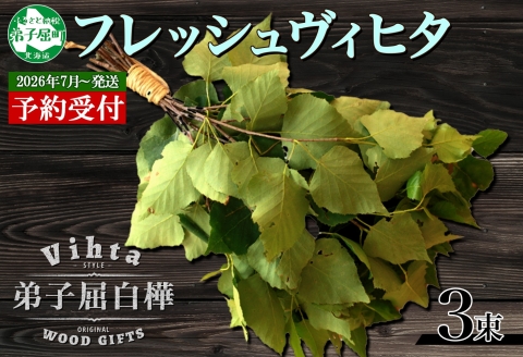 2026年 7月以降順次発送 1511.フレッシュ 白樺 ヴィヒタ 3束 北海道 白樺 ヴィヒタ アロマ ウィスク インテリア サウナグッズ サウナ テントサウナ 北海道 弟子屈町
