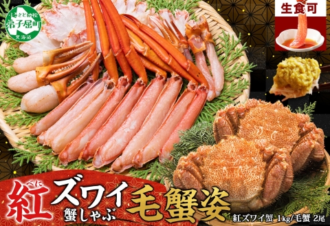 3425. 紅ズワイ 蟹しゃぶ ビードロ 1kg 毛蟹 2尾 計700g前後 専用ハサミ・ガイド付き 紅ずわい 毛ガニ 蟹 カニ しゃぶしゃぶ 鍋 送料無料 北海道 弟子屈町