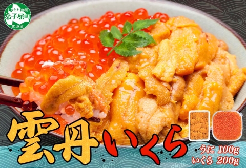 【年内配送 12月14日まで受付】3590.  うに 100g いくら醤油漬け 200g ウニ チリ産 冷凍 いくら 二色丼 雲丹 イクラ 海鮮 海鮮丼 うに丼 いくら丼 いくら醤油漬け 送料無料 北海道 弟子屈町