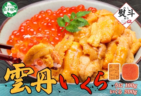 【年内配送 12月14日まで受付】3595. 無地熨斗 うに 100g いくら醤油漬け 200g ウニ チリ産 冷凍 いくら 二色丼 雲丹 イクラ 海鮮 海鮮丼 うに丼 いくら丼 のし 名入れ不可 送料無料 北海道 弟子屈町