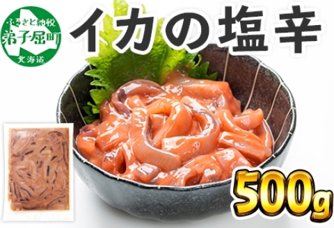 3163. いかの塩辛 500g いか イカ 烏賊 おつまみ 魚介 海鮮 送料無料 北海道 弟子屈町
