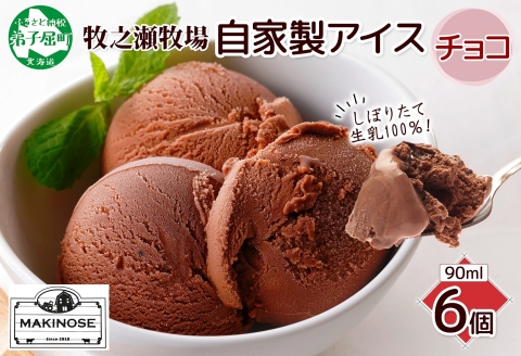 3220. 牧之瀬牧場 自家製アイス チョコ 90ml 6個 アイス 氷菓子 チョコ味 チョコレート フレーバー 牧場 手作り セット おやつ デザート スイーツ 冷凍 ギフト 送料無料 北海道 弟子屈町