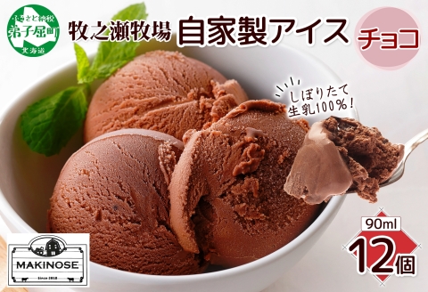 3221. 牧之瀬牧場 自家製アイス チョコ 90ml 12個 アイス 氷菓子 チョコ味 チョコレート フレーバー 牧場 手作り セット おやつ デザート スイーツ 冷凍 ギフト 送料無料 北海道 弟子屈町