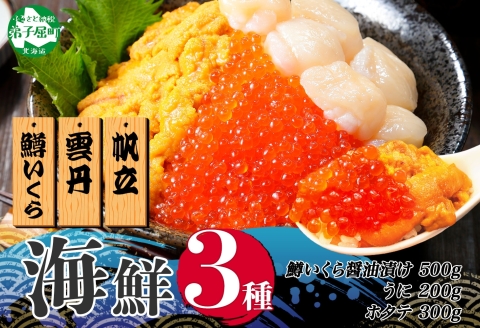 3610. 3種 海鮮丼 鱒 いくら醤油漬け 100g×5 5-6人前 ウニ チリ産 雲丹 うに 200g ホタテ 300g 帆立 いくら いくら醤油 イクラ 魚卵 海鮮 送料無料 北海道 弟子屈町