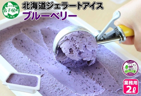 604.アイスクリーム ブルーベリー ジェラート ベリー 業務用 2リットル 2L アイス 大容量  手作り 北海道 弟子屈町
