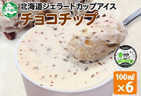 2335. くりーむ童話 カップアイス チョコチップ 100ml×6個 アイスクリーム アイス スイーツ 牛乳 ミルク 贈り物 gift ギフト プレゼント 詰め合わせ 送料無料 北海道 弟子屈町