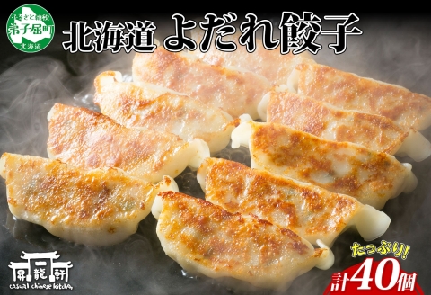 1812. よだれ餃子 10個入 4パック 計40個 餃子 ぎょうざ ギョウザ ギョーザ 生餃子 冷凍 中華 豚 肉 野菜 厚皮 惣菜 お取り寄せ 昇龍軒 送料無料 北海道 弟子屈町 20000円