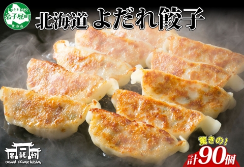 1813. よだれ餃子 10個入 9パック 計90個 生 餃子 ぎょうざ ギョウザ ギョーザ 冷凍 中華 豚 肉 野菜 厚皮 焼き 惣菜 お取り寄せ 昇龍軒 送料無料 北海道 弟子屈町 30000円