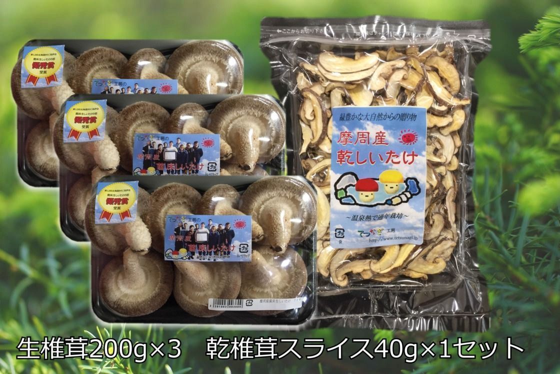 143.摩周産　菌床生しいたけ・乾燥しいたけセット