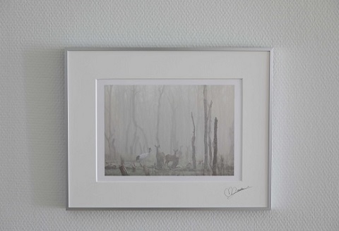 タンチョウ写真家 和田正宏 額付きオリジナルプリント「霧の楽園」(サイン入り)