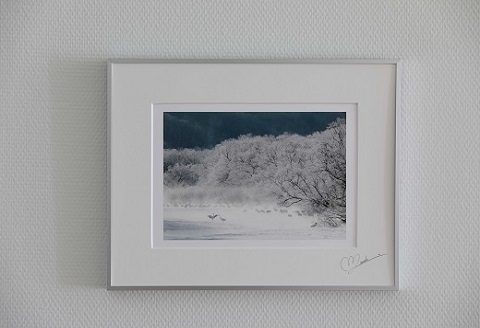 タンチョウ写真家 和田正宏 額付きオリジナルプリント「幻冬の朝」(サイン入り)