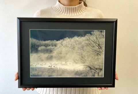農場カメラマンが撮った鶴居村ふるさと写真シリーズ　【夜明けの川とタンチョウ】
